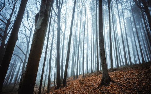 1754235 (a): :1920x1200